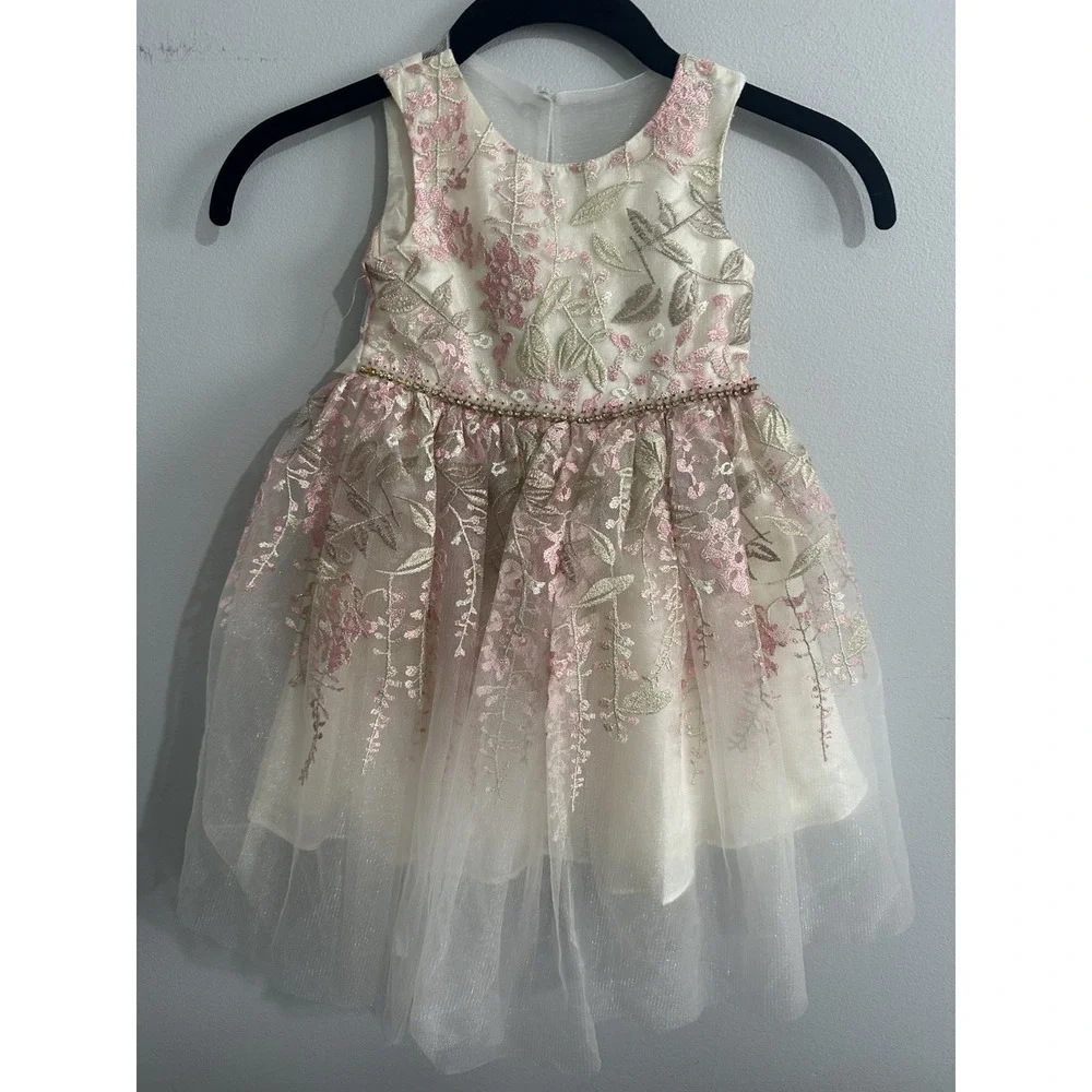 Rare Editions Girls 2T Floral Embroidered Party Dress Wedding Pink Cream Gold
